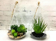 Light Bulb Shape Terrarium Glass Flower Planters / Garden Ornament Clear Glass Planters