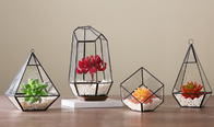 Handmade Flower Square Decorative Glass Craft Micro Landscaper Plant Mini House