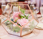 Modern Artistic Clear Geometric Glass Terrarium Flower Pot Environmental For Room
